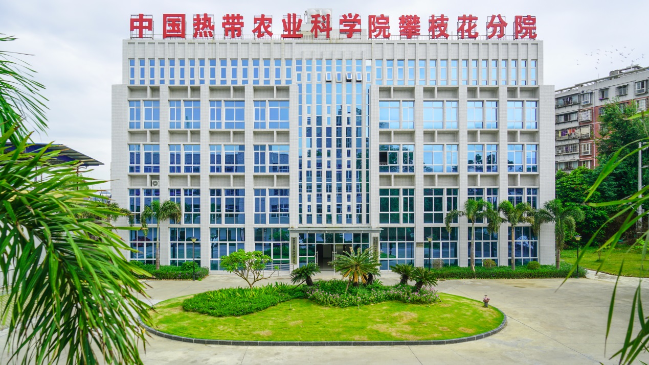 中國(guó)熱帶農(nóng)業(yè)科學(xué)院四川攀枝花研究院。