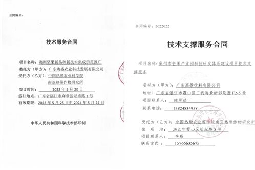 E:ivyliword-新聞稿合并合同.jpg