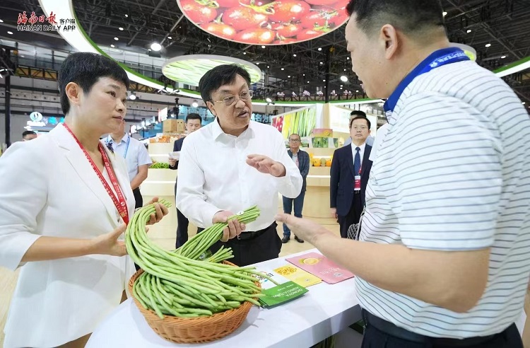 楊衍研究員介紹海南冬季瓜菜情況.jpg