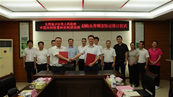 簽署框架協(xié)議